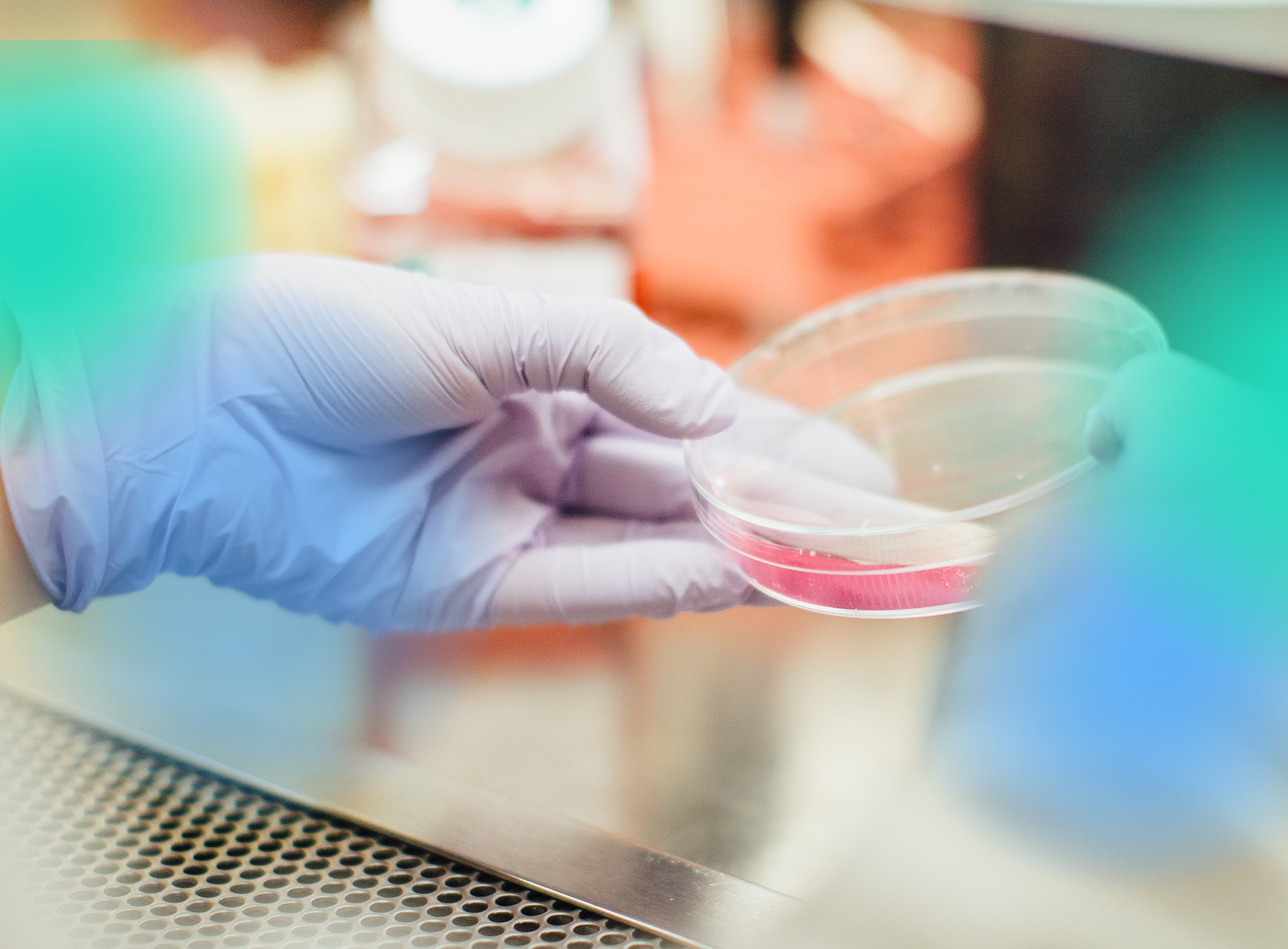 header-1_20230317154014608